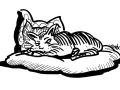 Cartoon-cat